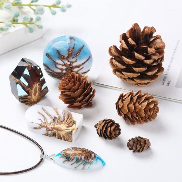 50pcs/pack natural pine cone thanksgiving christmas holiday decorations resin filler jewelry art diy crafts creative ornaments1
50pcs/pack natural pine cone thanksgiving christmas holiday decorations resin filler jewelry art diy crafts creative ornaments1