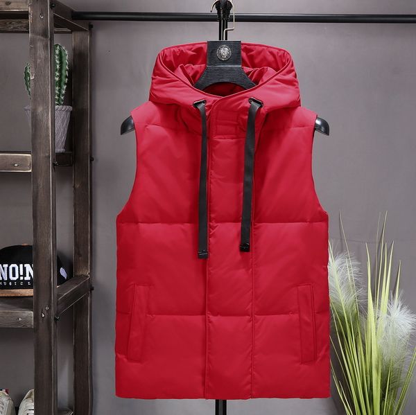 new vest in autumn and winter of 2019 student short korean hooded men's waistcoat sleeveless cotton shoulder, Black;white
new vest in autumn and winter of 2019 student short korean hooded men's waistcoat sleeveless cotton shoulder, Black;white