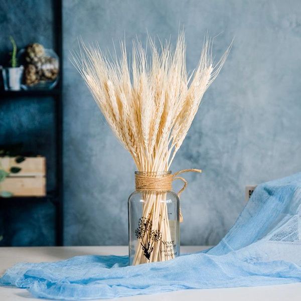 2021 wheat 25 dried flowers natural stalks plant pcs bouquet decor christmas home office wedding decoration flores new
2021 wheat 25 dried flowers natural stalks plant pcs bouquet decor christmas home office wedding decoration flores new