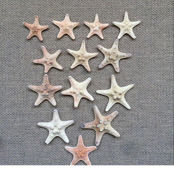 10pcs/set sea star star fish animal shell beach ornament for aquarium weddings party diy home decoration craft 3-4cm jllmre
10pcs/set sea star star fish animal shell beach ornament for aquarium weddings party diy home decoration craft 3-4cm jllmre