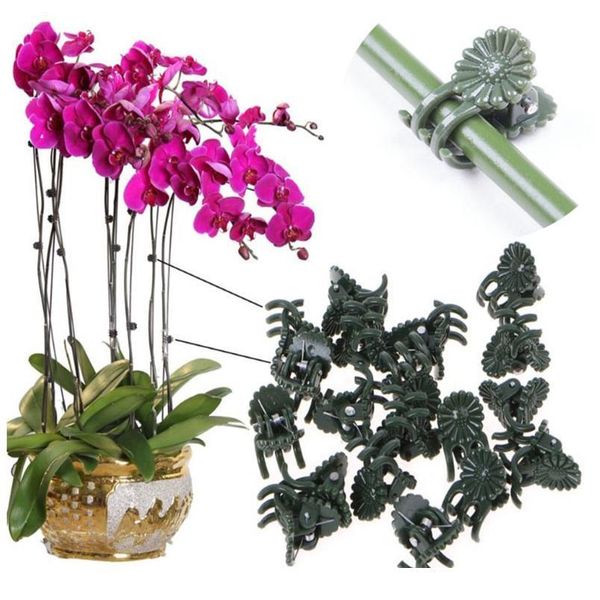 10/50pcs plastic garden clip butterfly clip for phalaenopsis graft clip plant vine orchid stem vine support bund jllhit
10/50pcs plastic garden clip butterfly clip for phalaenopsis graft clip plant vine orchid stem vine support bund jllhit