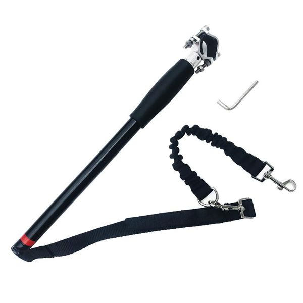 elastic dog bicycle traction belt running walk train for large small cat pets leashes dogs leash rope nylon
elastic dog bicycle traction belt running walk train for large small cat pets leashes dogs leash rope nylon