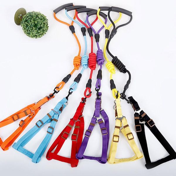 dog collars & leashes durable pet leash round rope adjustable running walking for medium large big mountain climbing accessories
dog collars & leashes durable pet leash round rope adjustable running walking for medium large big mountain climbing accessories
