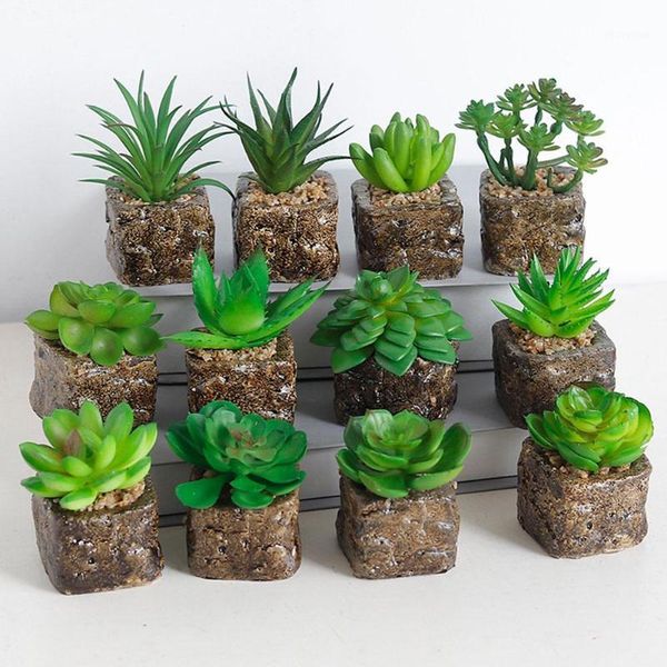 mini artificial plants succulents pot fake plant plastic bonsai green plant room decoration garden home decor1
mini artificial plants succulents pot fake plant plastic bonsai green plant room decoration garden home decor1