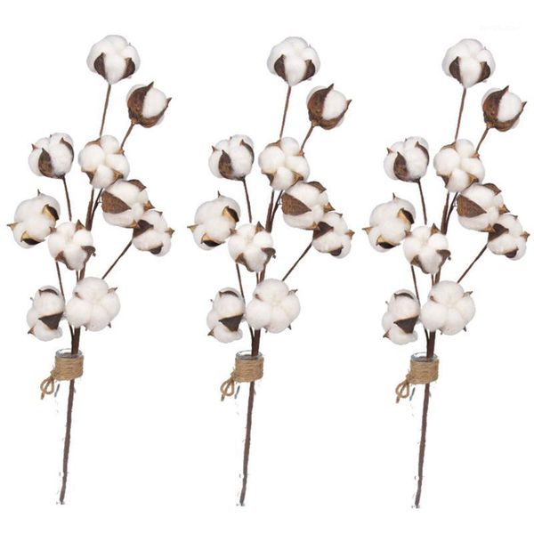 decorative flowers & wreaths 3pcs wedding floral decoration branch 21inch cotton stems crafts dried flower display filler farmhouse style fa
decorative flowers & wreaths 3pcs wedding floral decoration branch 21inch cotton stems crafts dried flower display filler farmhouse style fa