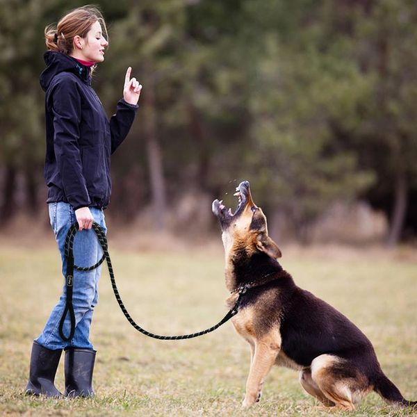 6ft nylon pet dog leash reflective dog leashes long rope dog lead belt for small large dogs gift gps tracker acc bbyocy
6ft nylon pet dog leash reflective dog leashes long rope dog lead belt for small large dogs gift gps tracker acc bbyocy