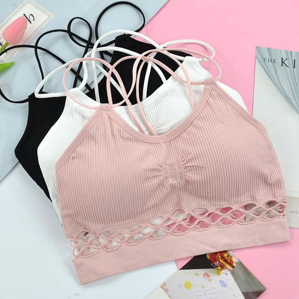 hollowout back women sport bra -proof rimless sports seamless yoga female workout wear girls gymwear kg-279, White;black
hollowout back women sport bra -proof rimless sports seamless yoga female workout wear girls gymwear kg-279, White;black