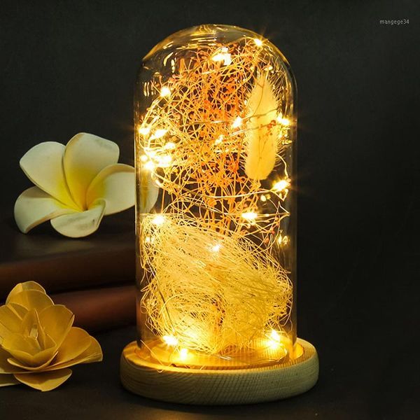 artificial starry flower led light glass cover decoration artificial flower micro landscape night light birthday christmas gift1
artificial starry flower led light glass cover decoration artificial flower micro landscape night light birthday christmas gift1