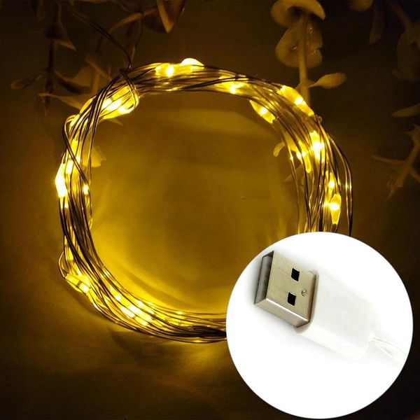 led гирлянд 2m 20 50 100led 5v usb powered открытый теплый белый rgb медный провод рождественский фестиваль свадьба украшение jllnhz
led гирлянд 2m 20 50 100led 5v usb powered открытый теплый белый rgb медный провод рождественский фестиваль свадьба украшение jllnhz