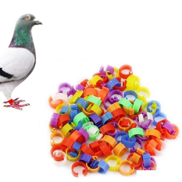 100pcs 8mm chicken hen pigeon leg poultry dove bird chicks duck par qylelp sports2010
100pcs 8mm chicken hen pigeon leg poultry dove bird chicks duck par qylelp sports2010