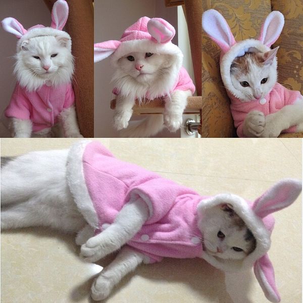 rabbit design pet clothes winter cat clothes cute pet clothing for cats hoodie warm pet jacket sweater christmas costume
rabbit design pet clothes winter cat clothes cute pet clothing for cats hoodie warm pet jacket sweater christmas costume
