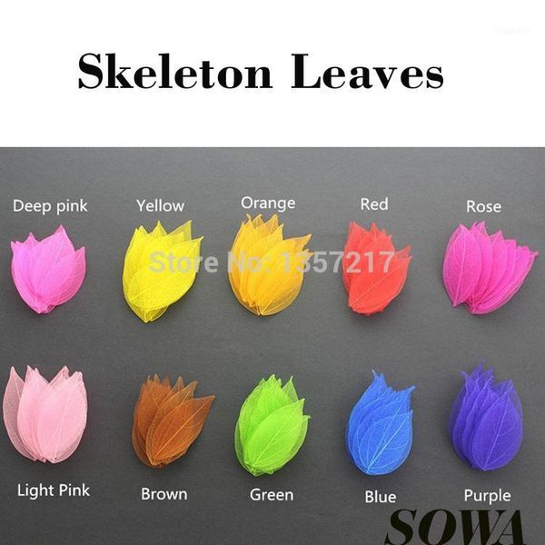 wholesale- wholesale multi color dyed leaf vein natural skeleton leaves organic craft diy ($6/100pcs)1
wholesale- wholesale multi color dyed leaf vein natural skeleton leaves organic craft diy ($6/100pcs)1