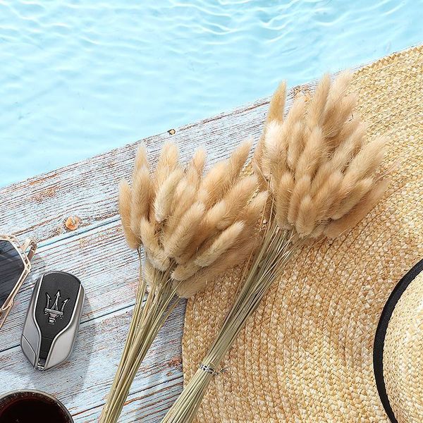 decorative flowers & wreaths natural 30/50pcs dried flower tail grass foxtail dog branch wedding party decoration lagurus ovatus plants1
decorative flowers & wreaths natural 30/50pcs dried flower tail grass foxtail dog branch wedding party decoration lagurus ovatus plants1