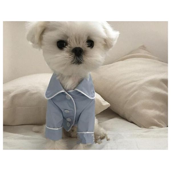 summer french dog pajamas pomeranian bear bullfighting small dog teddy pet clothes shirt feel comfor jlleiw ladyshome
summer french dog pajamas pomeranian bear bullfighting small dog teddy pet clothes shirt feel comfor jlleiw ladyshome