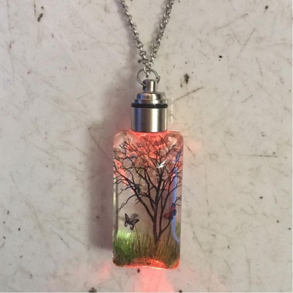 natural plant dried flowers 7 led illuminated perfume bottle pendant necklace woman keychain accessories valentine's day gift, Silver
natural plant dried flowers 7 led illuminated perfume bottle pendant necklace woman keychain accessories valentine's day gift, Silver