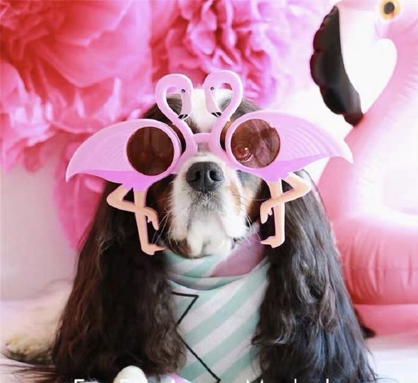 flamingo hawaii pink donuts glasses wedding 1pcs birthday sun flower sunglasses bachelorette event unicorn party supplies 
flamingo hawaii pink donuts glasses wedding 1pcs birthday sun flower sunglasses bachelorette event unicorn party supplies