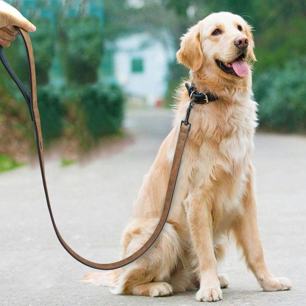 dog leash harness leather lead pet dog puppy walking running leashes training rope belt for small medium large dogs pet bbytdm 
dog leash harness leather lead pet dog puppy walking running leashes training rope belt for small medium large dogs pet bbytdm