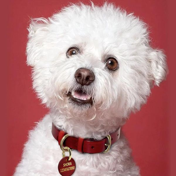 personalized leather dog id tag customized dog cat name tags engraved anti-lost pendant pet dogs collar acc sqckzf
personalized leather dog id tag customized dog cat name tags engraved anti-lost pendant pet dogs collar acc sqckzf