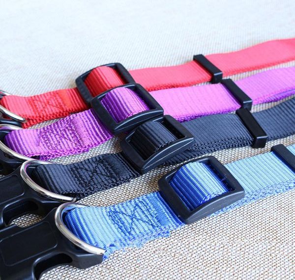 cw019 new fashion nylon dog collars for small dogs pet cat collar 4 sizes 4 colors adjustable dog collar jllpqo home003
cw019 new fashion nylon dog collars for small dogs pet cat collar 4 sizes 4 colors adjustable dog collar jllpqo home003