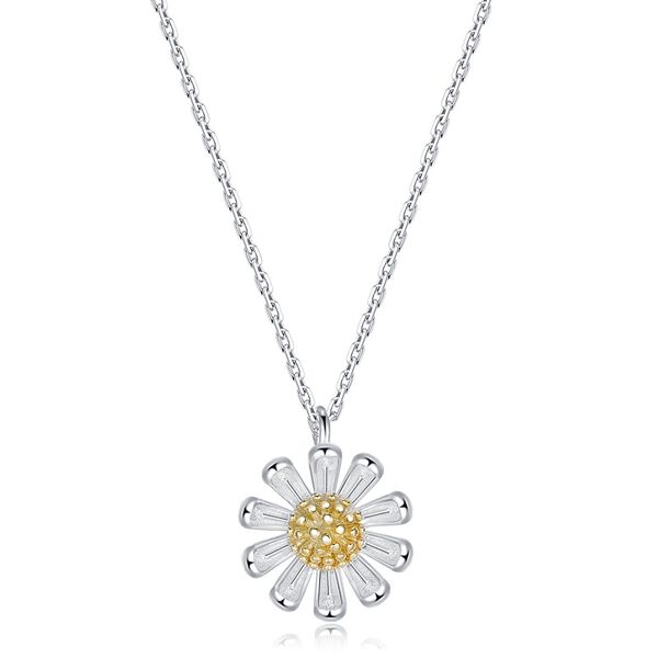 designer necklace designer charmsr clavicle chain suitable for social gathering party charm jewelry fashion petal pendant christmas present, Silver
designer necklace designer charmsr clavicle chain suitable for social gathering party charm jewelry fashion petal pendant christmas present, Silver