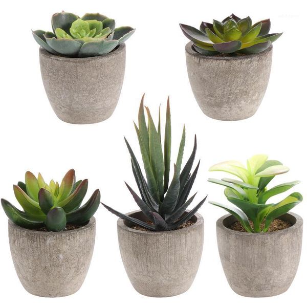 decorative flowers & wreaths 5pcs creative mini faux succulent decor plants potted fake simulation with pots for living room home1
decorative flowers & wreaths 5pcs creative mini faux succulent decor plants potted fake simulation with pots for living room home1