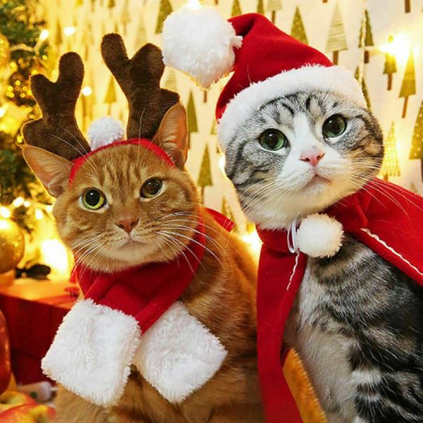 funny christmas warm pet dog cat clothes puppy santa red scarf hat deer head cute dogs cloak cats costume home decor
funny christmas warm pet dog cat clothes puppy santa red scarf hat deer head cute dogs cloak cats costume home decor
