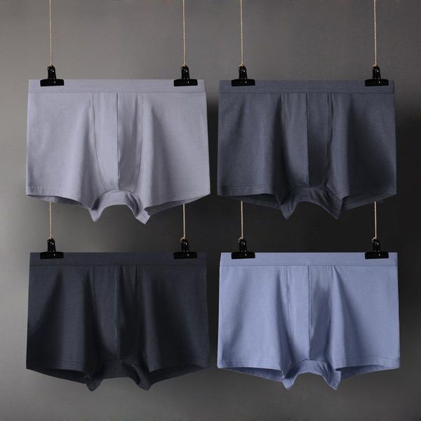 4pcs/lots 6xl mens boxer shorts modal slip homme underwear calzoncillos seamless boxershorts cuecas gay panties plus size, Black;white
4pcs/lots 6xl mens boxer shorts modal slip homme underwear calzoncillos seamless boxershorts cuecas gay panties plus size, Black;white