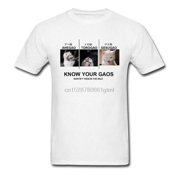 cat майка знай гао мемы тенниска cute animals печати tshirt япония chic designer мужской топы тис смешной спорт капюшоном hoodie
cat майка знай гао мемы тенниска cute animals печати tshirt япония chic designer мужской топы тис смешной спорт капюшоном hoodie