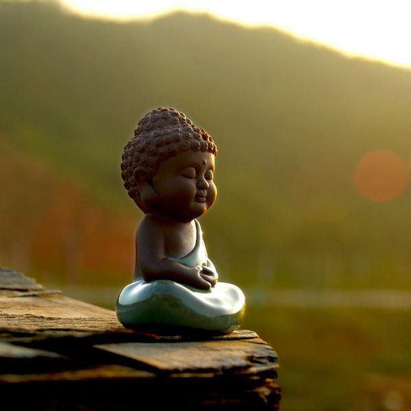 ceramic crafts creative home decoration living room feng shui ornaments cute little buddha zen like pots furnishings
ceramic crafts creative home decoration living room feng shui ornaments cute little buddha zen like pots furnishings