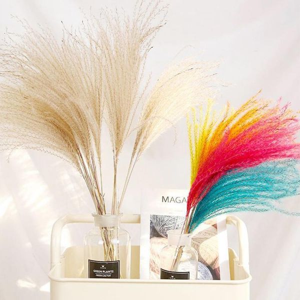 10pcs/lot natural dried flower reed flower bouquet for home wedding decoration phragmite bulrush branch pho jllxhc
10pcs/lot natural dried flower reed flower bouquet for home wedding decoration phragmite bulrush branch pho jllxhc