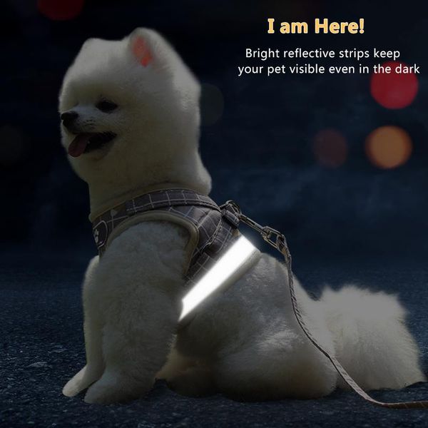pet dogs harnesses jacket collar for small dog leashes reflective adjustable pet walking leads harness for dog supplies wmtpcd mywjqq
pet dogs harnesses jacket collar for small dog leashes reflective adjustable pet walking leads harness for dog supplies wmtpcd mywjqq