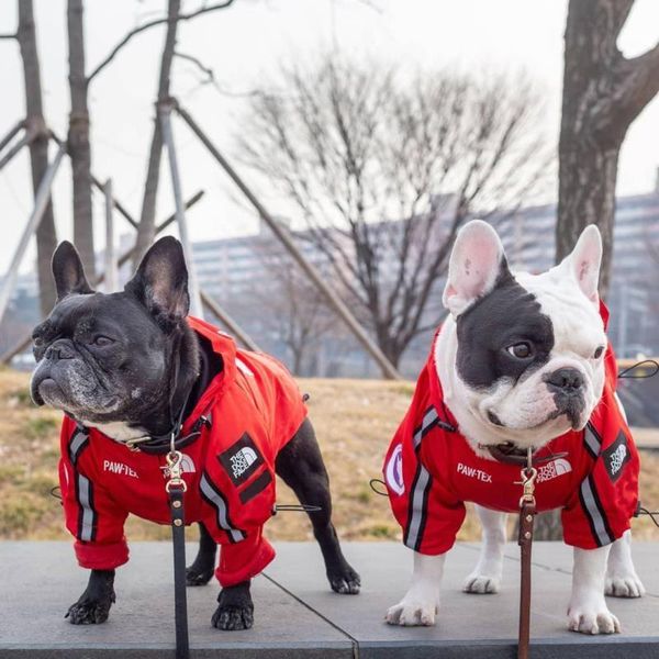 rain pets face dog clothes coat rottweiler for big jacket coat the the dog rain face dog bbyqu bwkf
rain pets face dog clothes coat rottweiler for big jacket coat the the dog rain face dog bbyqu bwkf