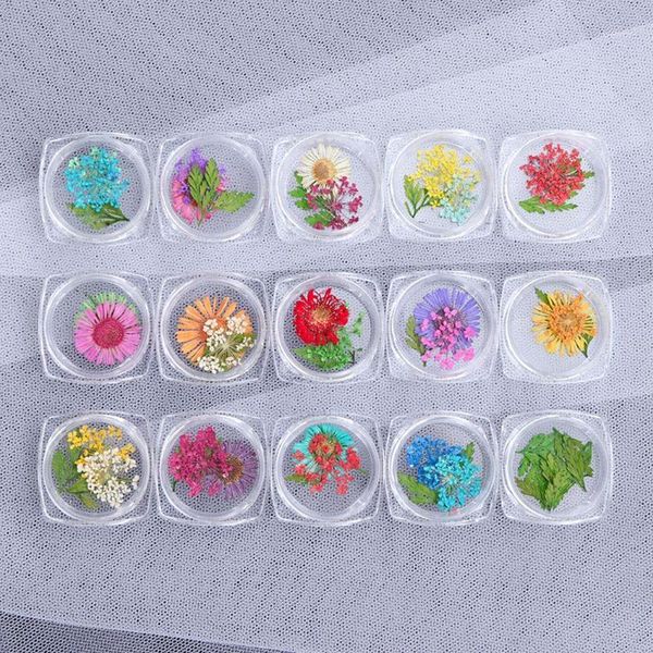 decorative flowers & wreaths 15pcs/set beautiful art decoration assorted diy dried flower handmade accessories supplies gifts 2021 1
decorative flowers & wreaths 15pcs/set beautiful art decoration assorted diy dried flower handmade accessories supplies gifts 2021 1