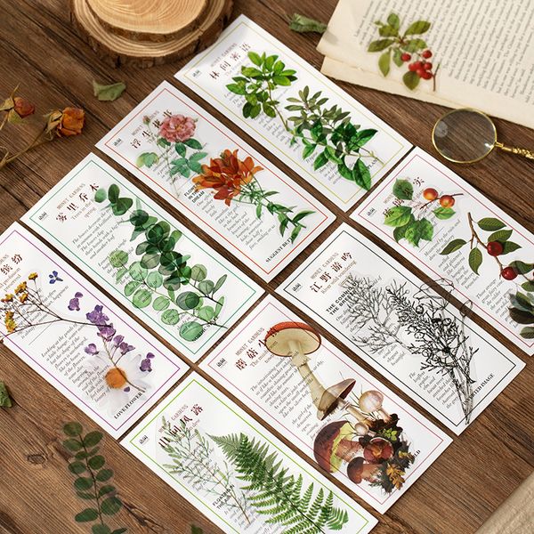 40 Pieces/Creative Retro Plant Illustration Writing Notes Plant Flowers PTE Sticker Transparent Sticker Office Student Supplies
40 Pieces/Creative Retro Plant Illustration Writing Notes Plant Flowers PTE Sticker Transparent Sticker Office Student Supplies