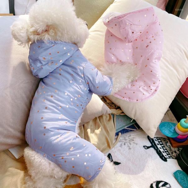 winter clothes for dogs gold dots hood puppy teddy coat soft xs s m l xl1