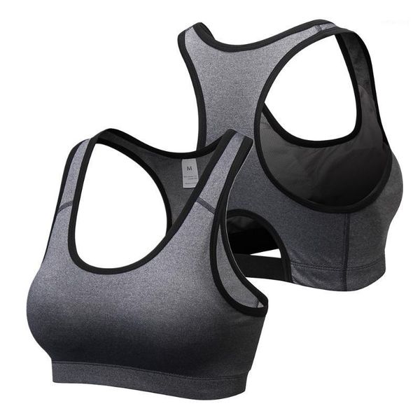 gym clothing 3 pack women padded push up sports bras breathable fitness workout running bra yoga bra1, White;black
gym clothing 3 pack women padded push up sports bras breathable fitness workout running bra yoga bra1, White;black