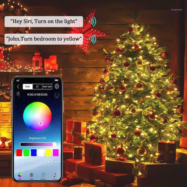 5m10m/15m/20m christmas tree led string lights with smart bluetooth app remote control christmas home decor fairy lights garland1
5m10m/15m/20m christmas tree led string lights with smart bluetooth app remote control christmas home decor fairy lights garland1