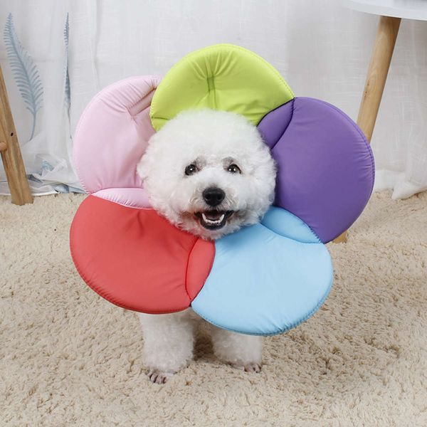 elizabeth soft cloth do not cut licking ointment circle beauty flower anti scratch pet protective cover
elizabeth soft cloth do not cut licking ointment circle beauty flower anti scratch pet protective cover