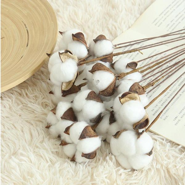 10pcs diy naturally dried cotton stems farm house decorative dried artificial white cotton branch artificial flower head1
10pcs diy naturally dried cotton stems farm house decorative dried artificial white cotton branch artificial flower head1