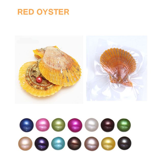 2020 new natural akoya seawater rainbow shells pearls oyster loose beads cultured fresh oyster pearl mussel farm supply dropshipping wholesa, White
2020 new natural akoya seawater rainbow shells pearls oyster loose beads cultured fresh oyster pearl mussel farm supply dropshipping wholesa, White