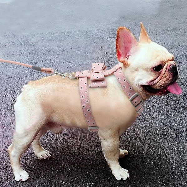 adjustable nylon dog harness leash set pet puppy bowknot harness vest walking leash for small medium dogs chihuahua arn bbyxdq
adjustable nylon dog harness leash set pet puppy bowknot harness vest walking leash for small medium dogs chihuahua arn bbyxdq