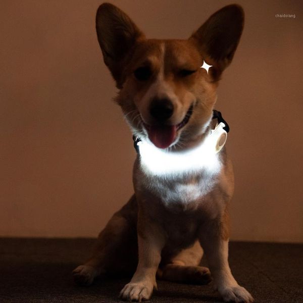increased visibility cat bright outdoor walking pet supplies battery operated night safety led flashing dog collar light sports1
increased visibility cat bright outdoor walking pet supplies battery operated night safety led flashing dog collar light sports1