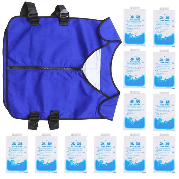 outdoor t-shirts 1 pc cooling sport vest creative clothing ice-cooling supplies for men, Gray;blue
outdoor t-shirts 1 pc cooling sport vest creative clothing ice-cooling supplies for men, Gray;blue