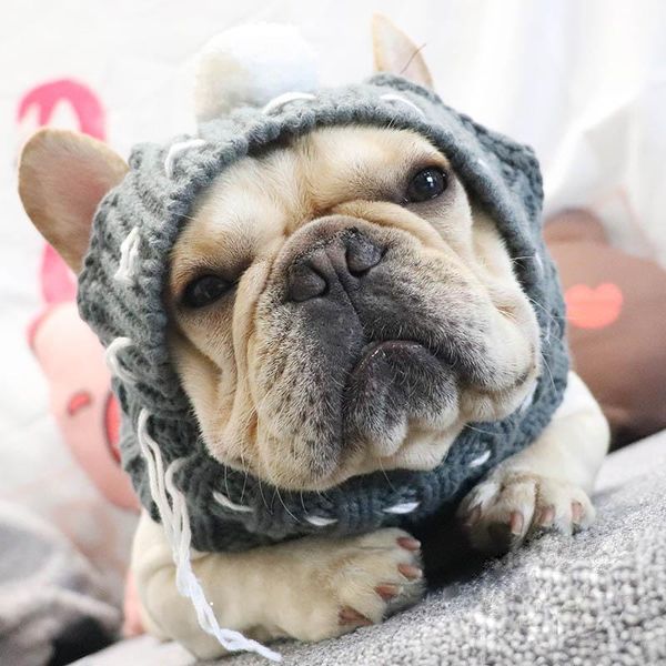 winter pet hat christmas dog cap fat large dog hats for dogs cats accessories french bulldog caps for dogs labrador new year bbyjdv
winter pet hat christmas dog cap fat large dog hats for dogs cats accessories french bulldog caps for dogs labrador new year bbyjdv