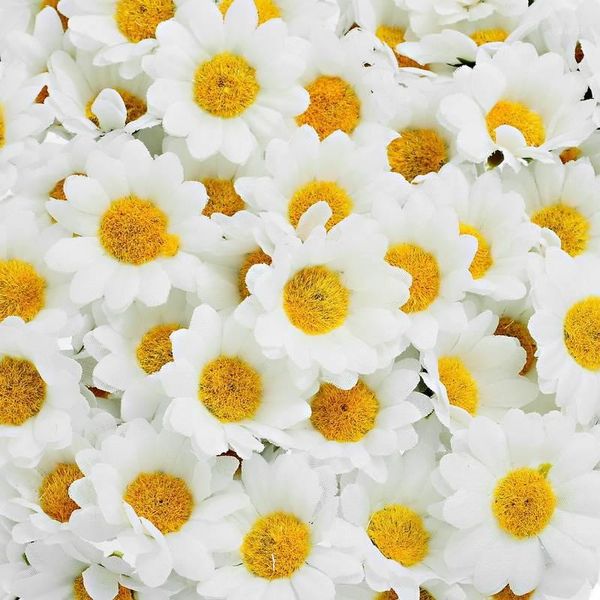 wholesale-hoomall 100pcs mini white daisy flower artificial silk flowers party wedding decoration home decor wedding flowers(without stem)1
wholesale-hoomall 100pcs mini white daisy flower artificial silk flowers party wedding decoration home decor wedding flowers(without stem)1