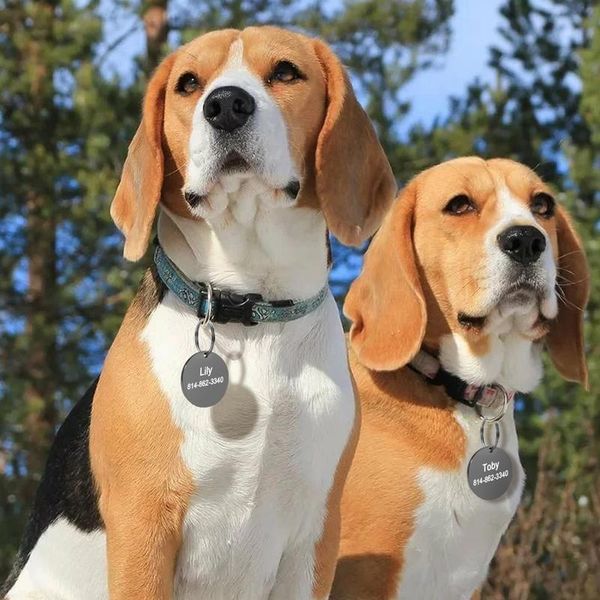 stainless steel pet dog id tags personalized dog cat name tag customized engraved anti-lost pendant pet dog collar acc wmttfj
stainless steel pet dog id tags personalized dog cat name tag customized engraved anti-lost pendant pet dog collar acc wmttfj