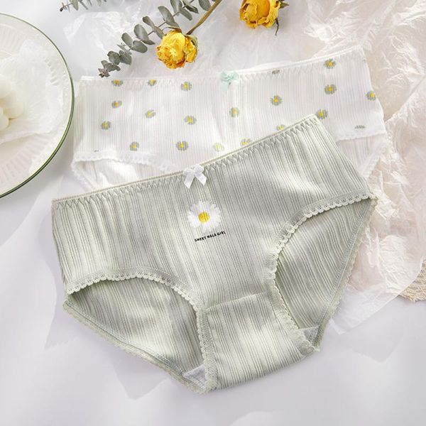 cute small daisy print cotton girls underwear breathable panties women briefs lingerie1, Black;pink
cute small daisy print cotton girls underwear breathable panties women briefs lingerie1, Black;pink