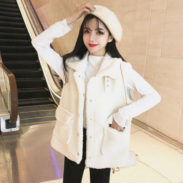 new loose wool vest stand collar sleeveless imitation lamb hair jacket women's wear in autumn and winter 2020
new loose wool vest stand collar sleeveless imitation lamb hair jacket women's wear in autumn and winter 2020