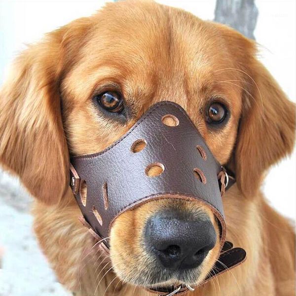 new pet dog adjustable mask anti bark bite mesh soft mouth muzzle grooming chew sfor small large dog size s-xl1
new pet dog adjustable mask anti bark bite mesh soft mouth muzzle grooming chew sfor small large dog size s-xl1