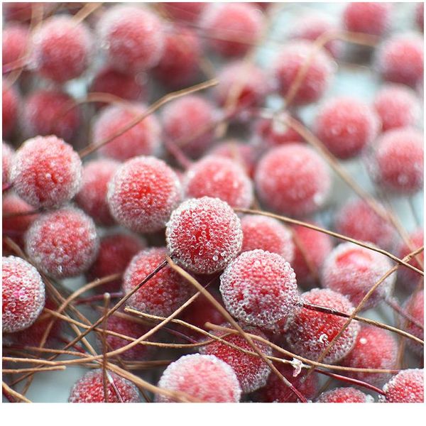 20pcs white red artificial berries cherry artificial flowers stamen for wedding home decoration diy wreath scrapbooking jllqpf
20pcs white red artificial berries cherry artificial flowers stamen for wedding home decoration diy wreath scrapbooking jllqpf